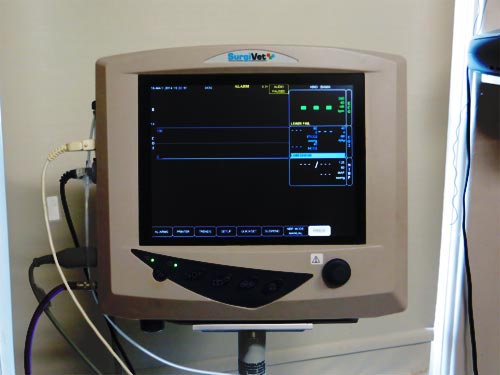 A medical monitor