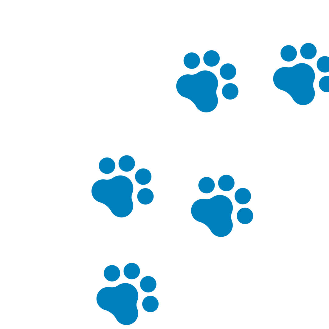 A green background with blue paw prints on it.